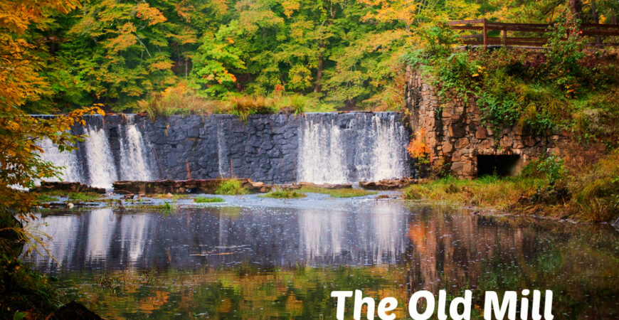 Protected: Private Event: Hike Pocahontas State Park