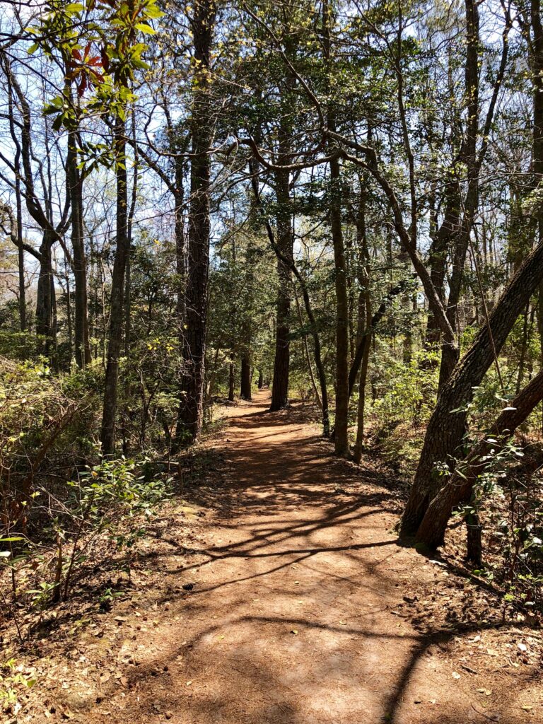 Virtual Walk on the Cape Henry Trail at First Landing State Park