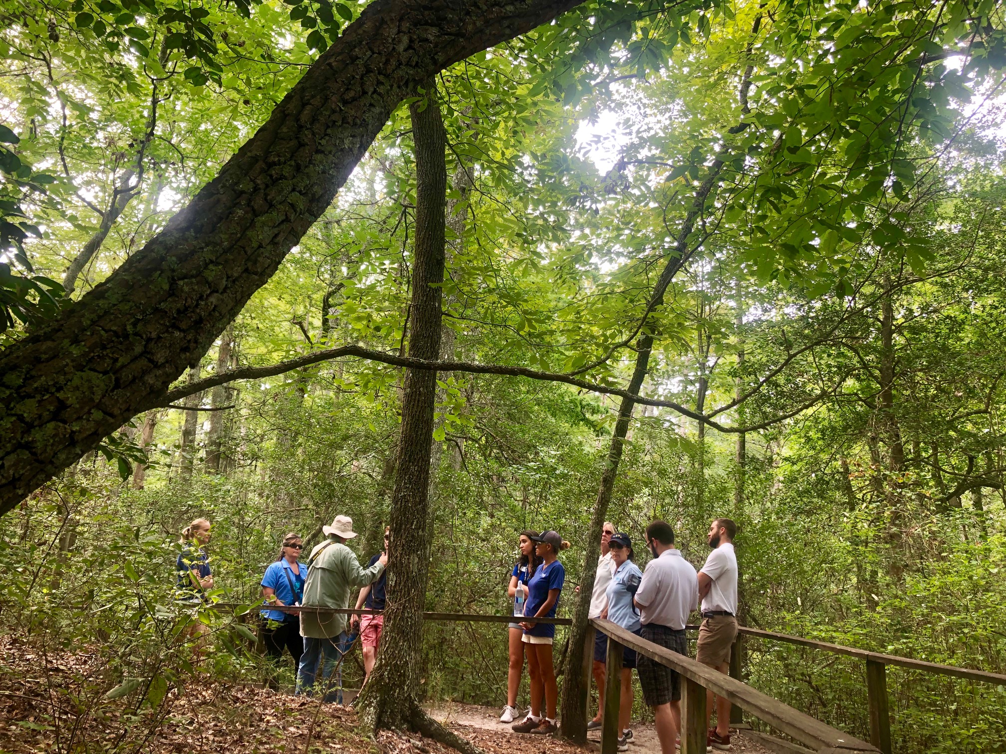 Naturalist Guided Forest Walk