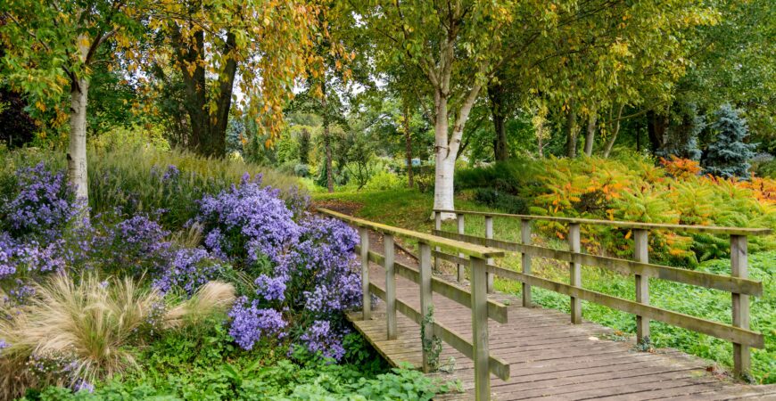 Virtual Walk at Norfolk Botanical Gardens