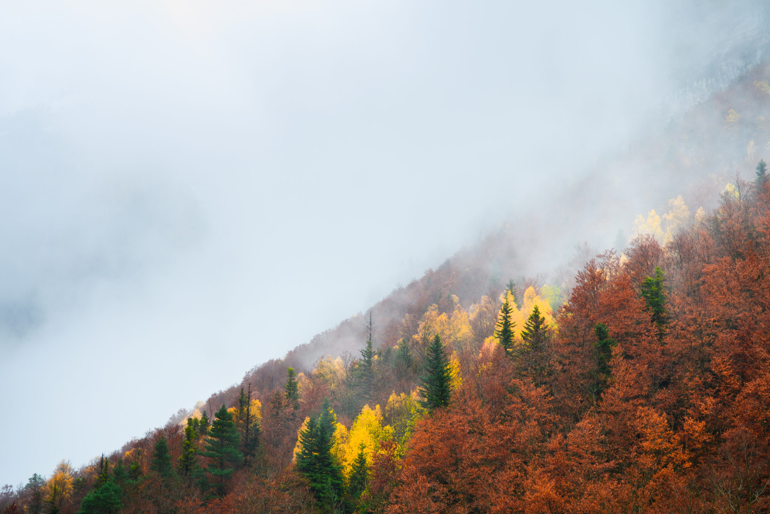 Fall Blue Ridge mountain