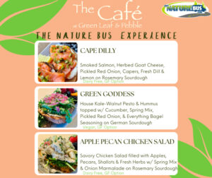 The Nature Bus