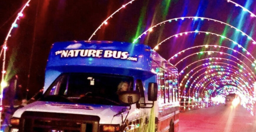Private Tour – Holiday Spirits with The Nature Bus