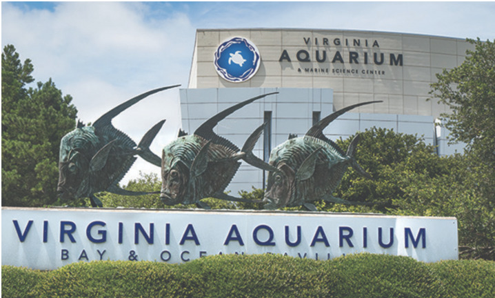 The Nature Bus Aquarium Virginia Marine Debris Summit