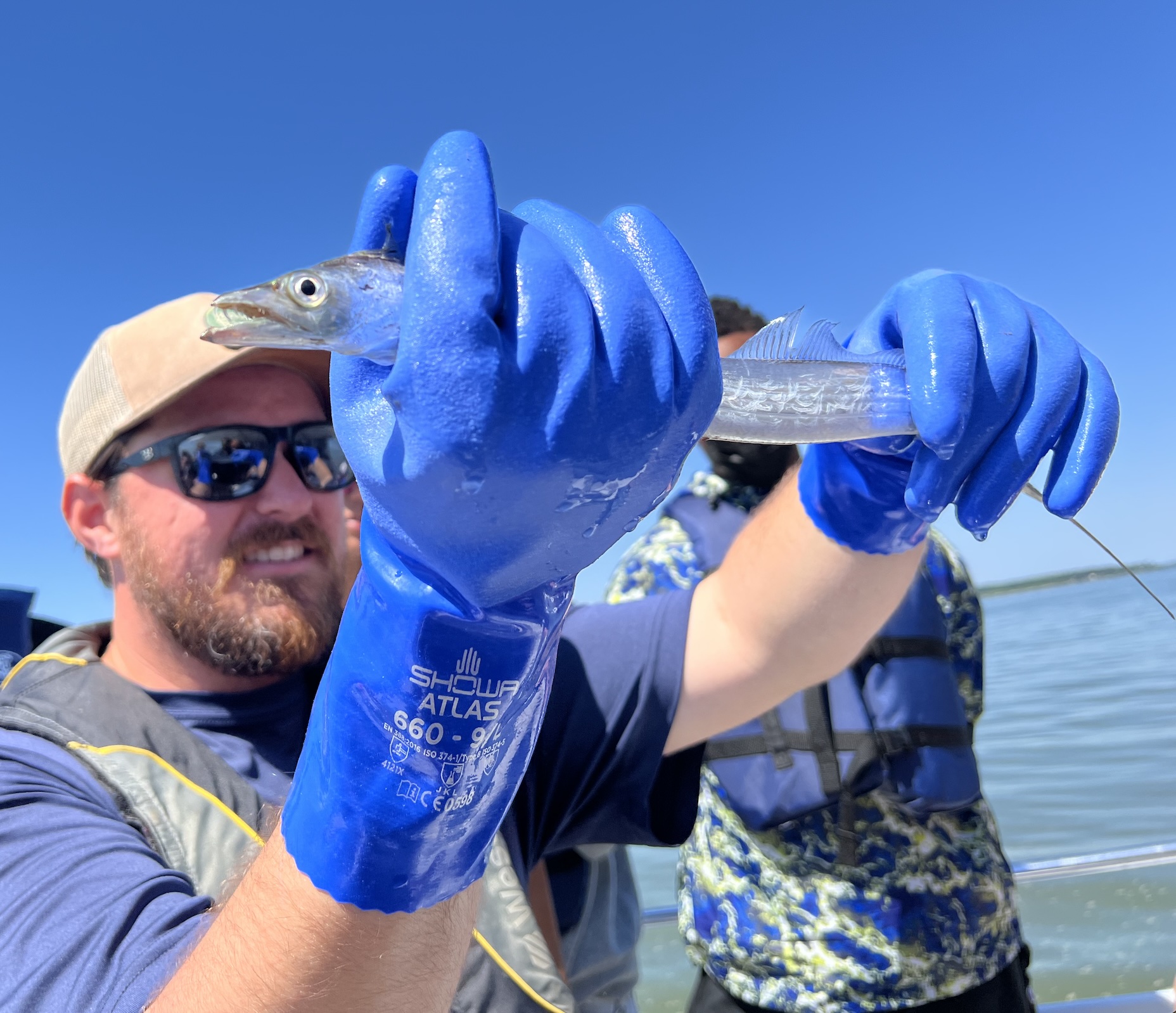 The Nature Bus Eco Tours Nature Tours Virginia Beach BEST Things to do Boating Fishing Trawling Naturalist Guided