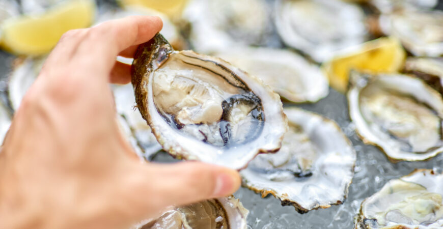 Experience Oysters