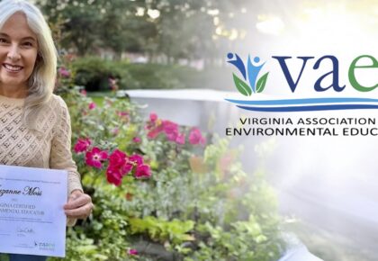 A Reflection on the Certification Journey