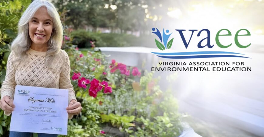 A Reflection on the Certification Journey