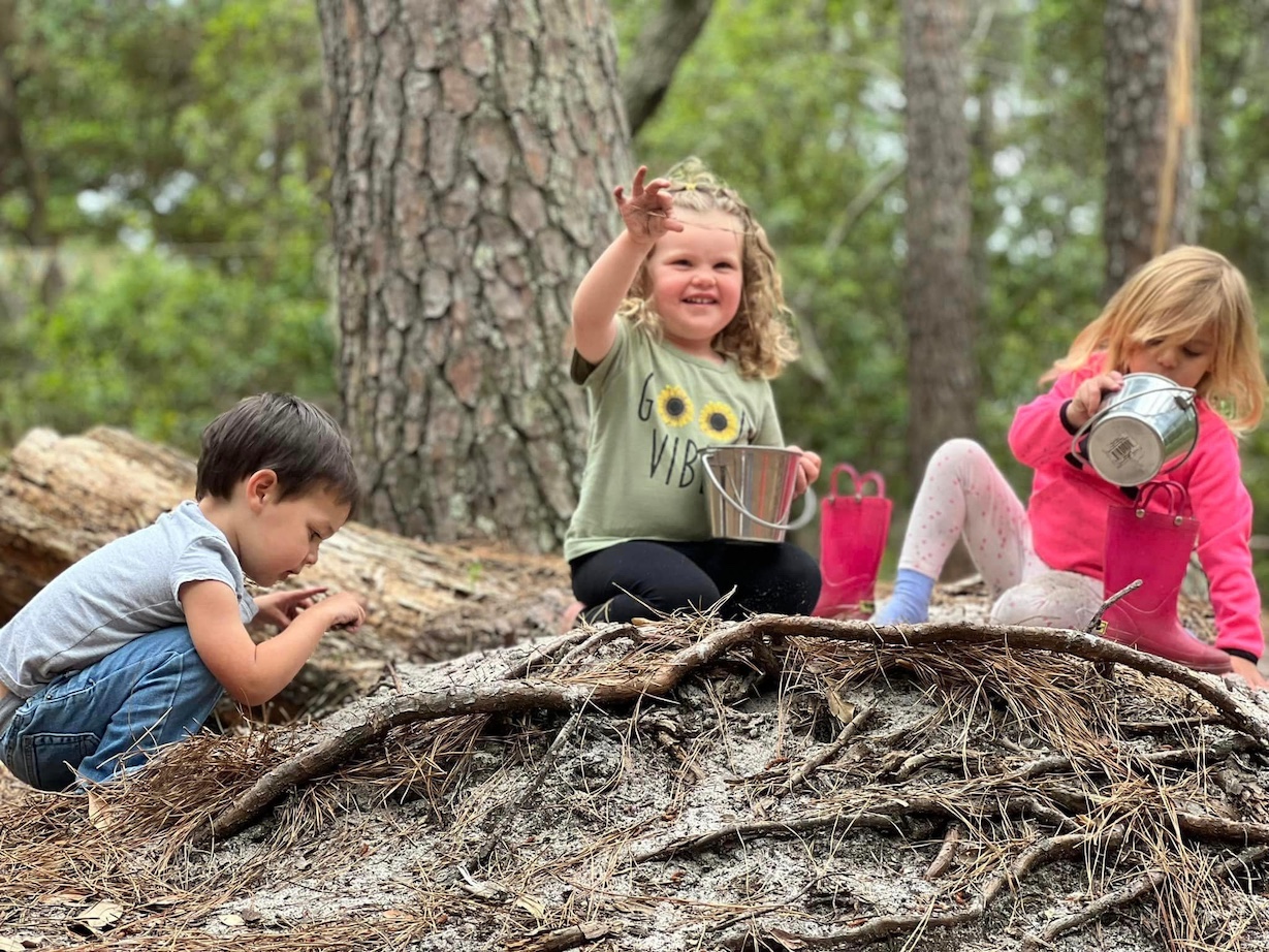 Three pre-school children playing in a forest collecting items they find in buckets