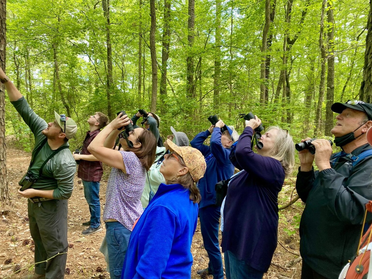 Group of people with binoculars on a nature tour in the forest with tour guide